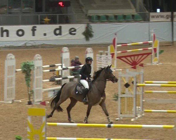 Reitturnier Kreuth/Opf. 2024