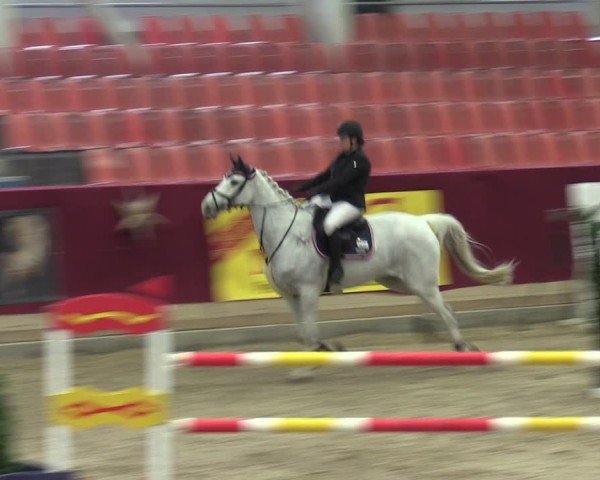 Reitturnier Neustadt/Dosse - Graf von Lindenau-Halle 2024
