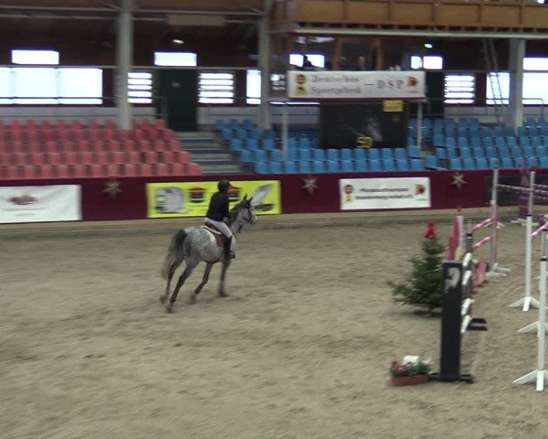 Reitturnier Neustadt/Dosse - Graf von Lindenau-Halle 2024