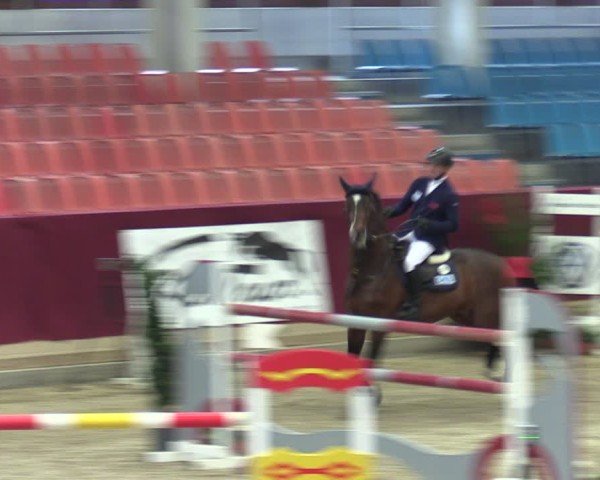 Reitturnier Neustadt/Dosse - Graf von Lindenau-Halle 2024