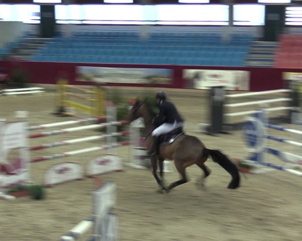 Reitturnier Neustadt/Dosse - Graf von Lindenau-Halle 2024