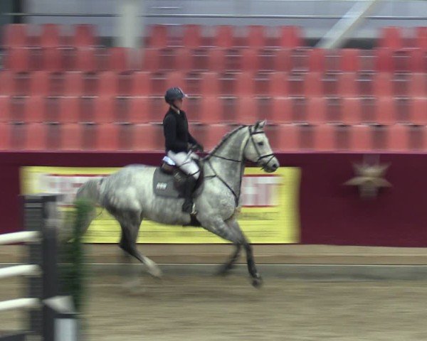 Reitturnier Neustadt/Dosse - Graf von Lindenau-Halle 2024