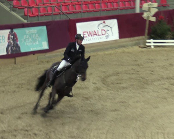Reitturnier Neustadt/Dosse - Graf von Lindenau-Halle 2024