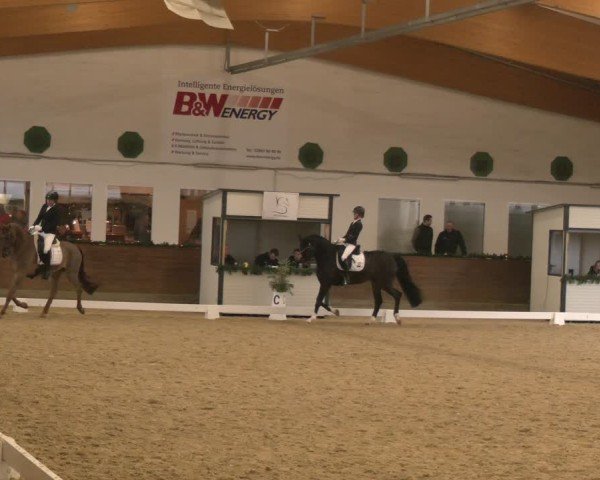 Reitturnier Coesfeld/Lette 2024