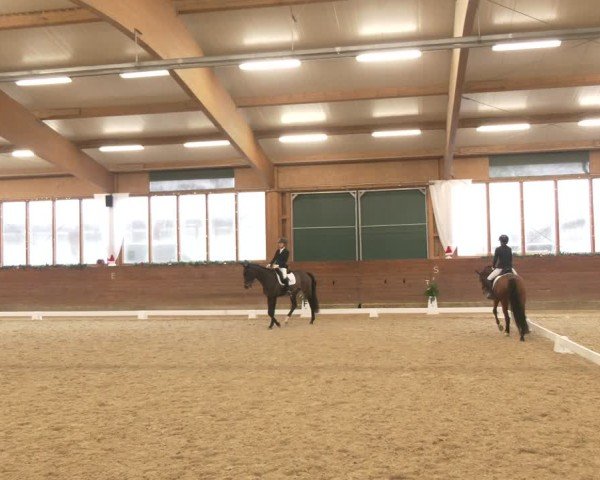 Reitturnier Coesfeld/Lette 2024