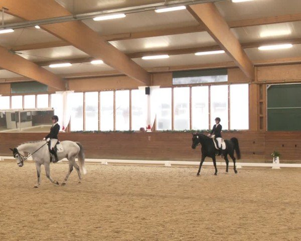 Reitturnier Coesfeld/Lette 2024