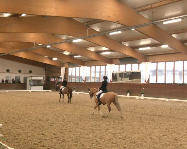 Reitturnier Coesfeld/Lette 2024