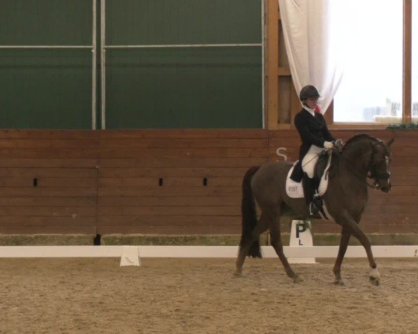 Reitturnier Coesfeld/Lette 2024