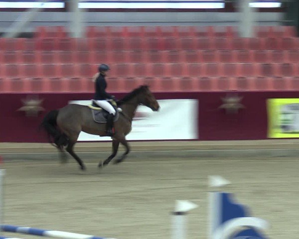 Reitturnier Neustadt/Dosse - Graf von Lindenau-Halle 2024