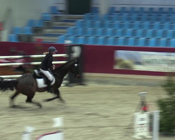 Reitturnier Neustadt/Dosse - Graf von Lindenau-Halle 2024