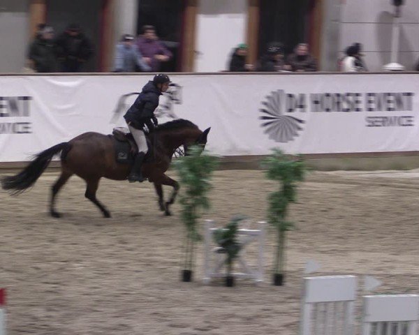 Reitturnier Prussendorf 2024