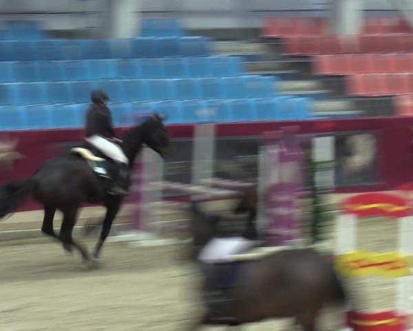 Reitturnier Neustadt/Dosse - Graf von Lindenau-Halle 2024