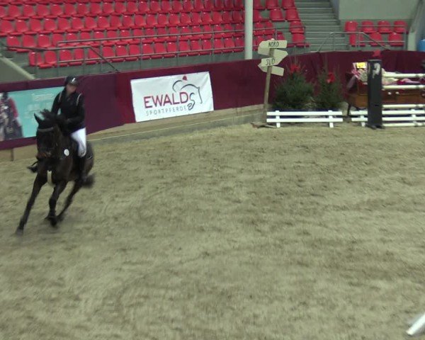 Reitturnier Neustadt/Dosse - Graf von Lindenau-Halle 2024