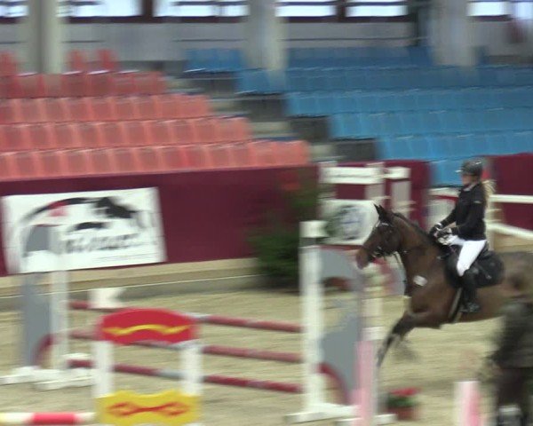 Reitturnier Neustadt/Dosse - Graf von Lindenau-Halle 2024