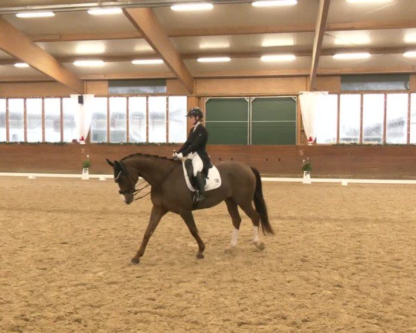 Reitturnier Coesfeld/Lette 2024