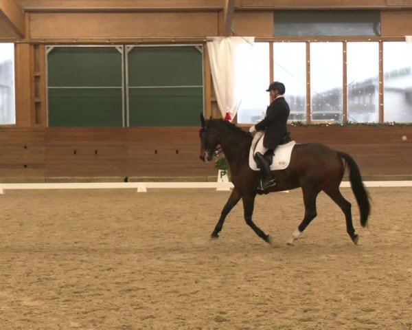 Reitturnier Coesfeld/Lette 2024