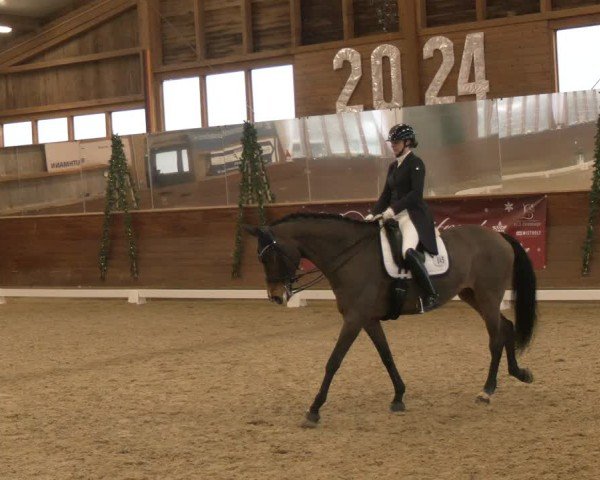 Reitturnier Coesfeld/Lette 2024