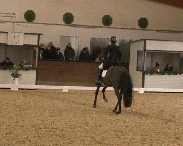 Reitturnier Coesfeld/Lette 2024