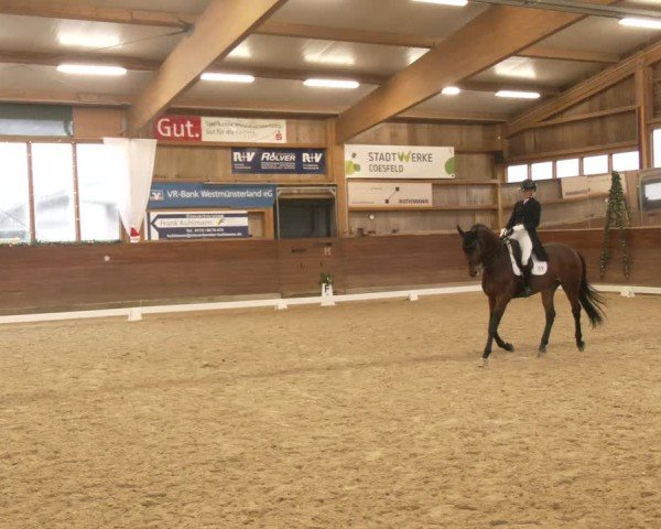 Reitturnier Coesfeld/Lette 2024