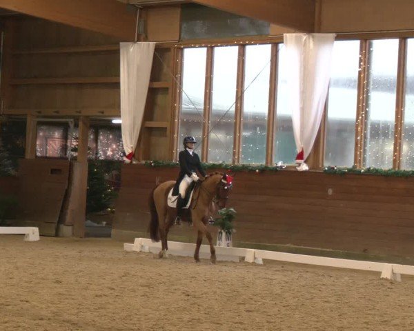 Reitturnier Coesfeld/Lette 2024