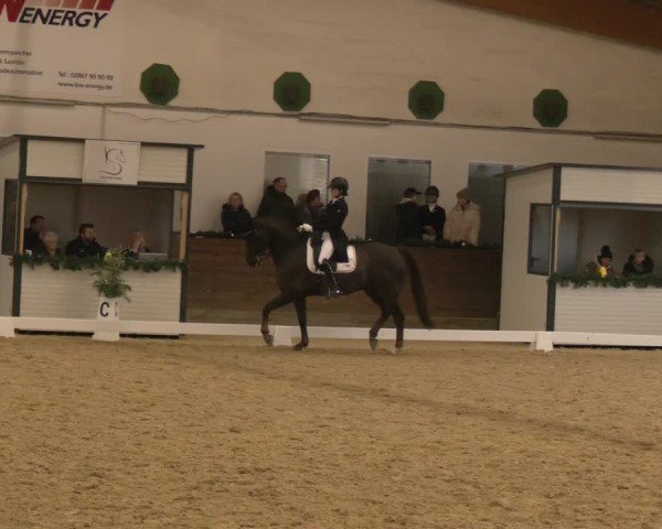 Reitturnier Coesfeld/Lette 2024