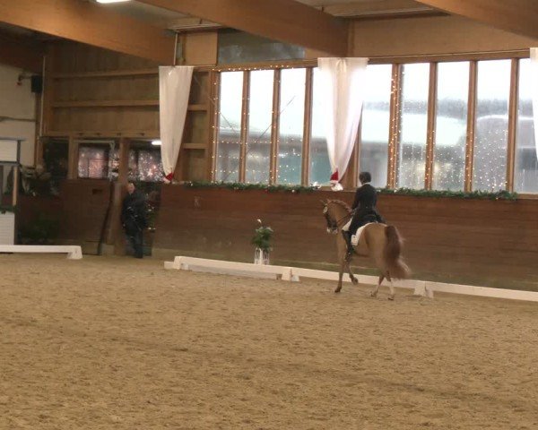 Reitturnier Coesfeld/Lette 2024