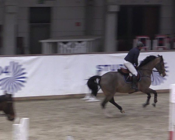 Reitturnier Prussendorf 2024
