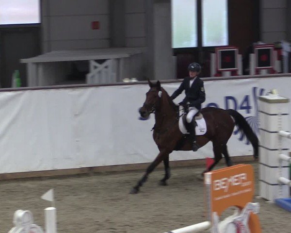 Reitturnier Prussendorf 2024