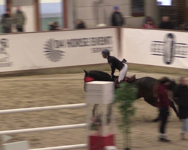 Reitturnier Prussendorf 2024