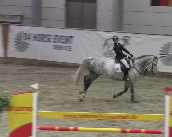 Reitturnier Prussendorf 2024