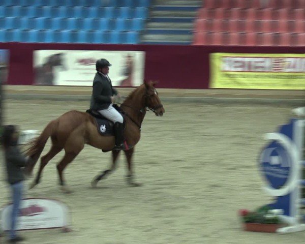 Reitturnier Neustadt/Dosse - Graf von Lindenau-Halle 2024