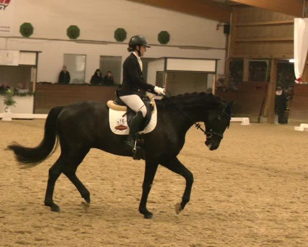 Reitturnier Coesfeld/Lette 2024