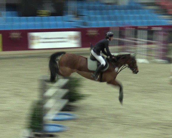 Reitturnier Neustadt/Dosse - Graf von Lindenau-Halle 2024