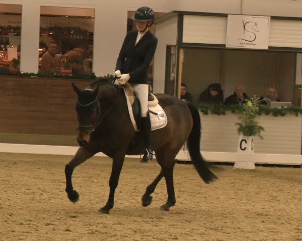 Reitturnier Coesfeld/Lette 2024