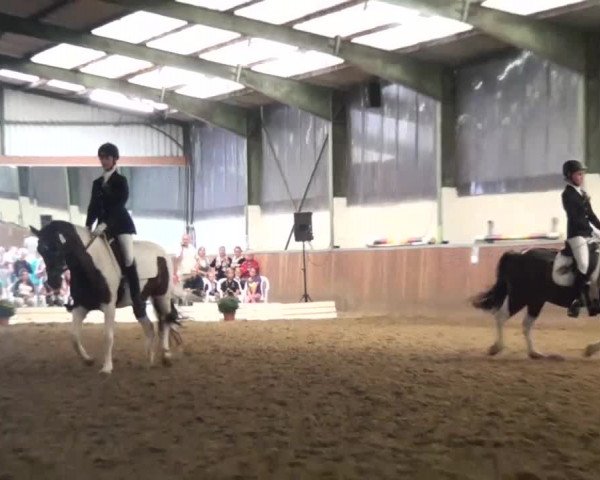 Reitturnier Essen-Kupferdreh 2013