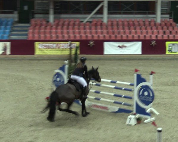 Reitturnier Neustadt/Dosse - Graf von Lindenau-Halle 2024
