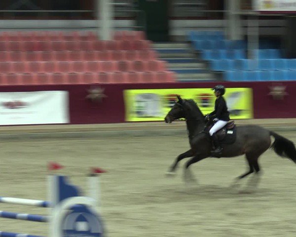 Reitturnier Neustadt/Dosse - Graf von Lindenau-Halle 2024