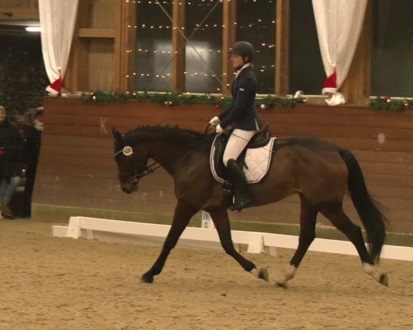 Reitturnier Coesfeld/Lette 2024