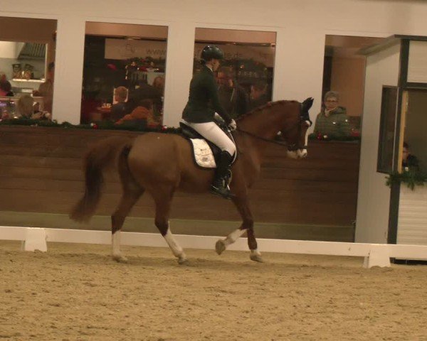 Reitturnier Coesfeld/Lette 2024