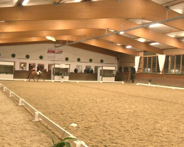 Reitturnier Coesfeld/Lette 2024