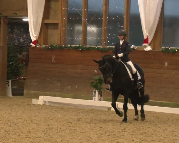 Reitturnier Coesfeld/Lette 2024
