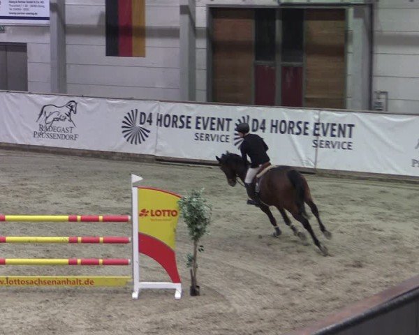 Reitturnier Prussendorf 2024