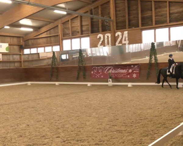 Reitturnier Coesfeld/Lette 2024
