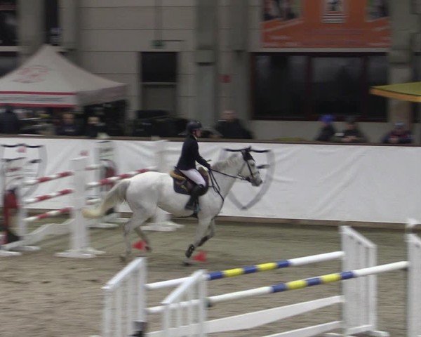Reitturnier Prussendorf 2024