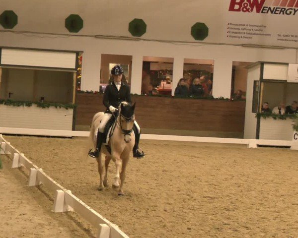 Reitturnier Coesfeld/Lette 2024