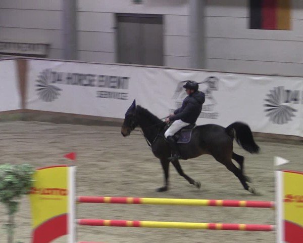Reitturnier Prussendorf 2024