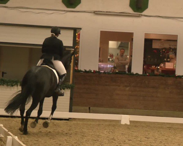 Reitturnier Coesfeld/Lette 2024