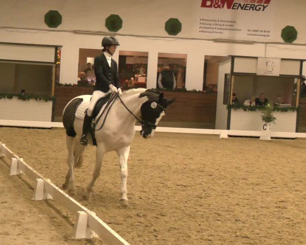 Reitturnier Coesfeld/Lette 2024