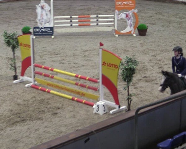 Reitturnier Prussendorf 2024