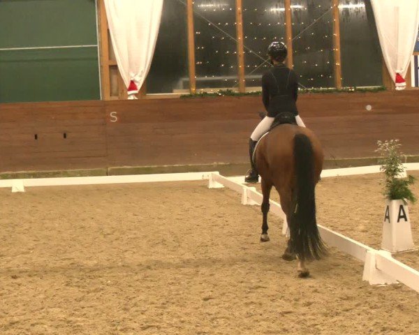 Reitturnier Coesfeld/Lette 2024